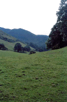 Dysynni valley