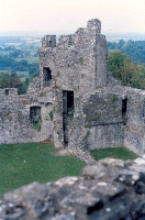 Dinefwr Castle